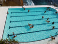 People swimming in a large outdoor pool with clear blue water.